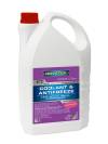 Image RAVENOL ETC Concentrate Protect C12evo